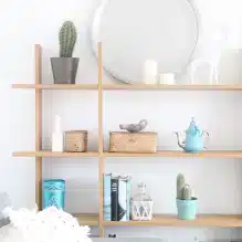 estante-cactus