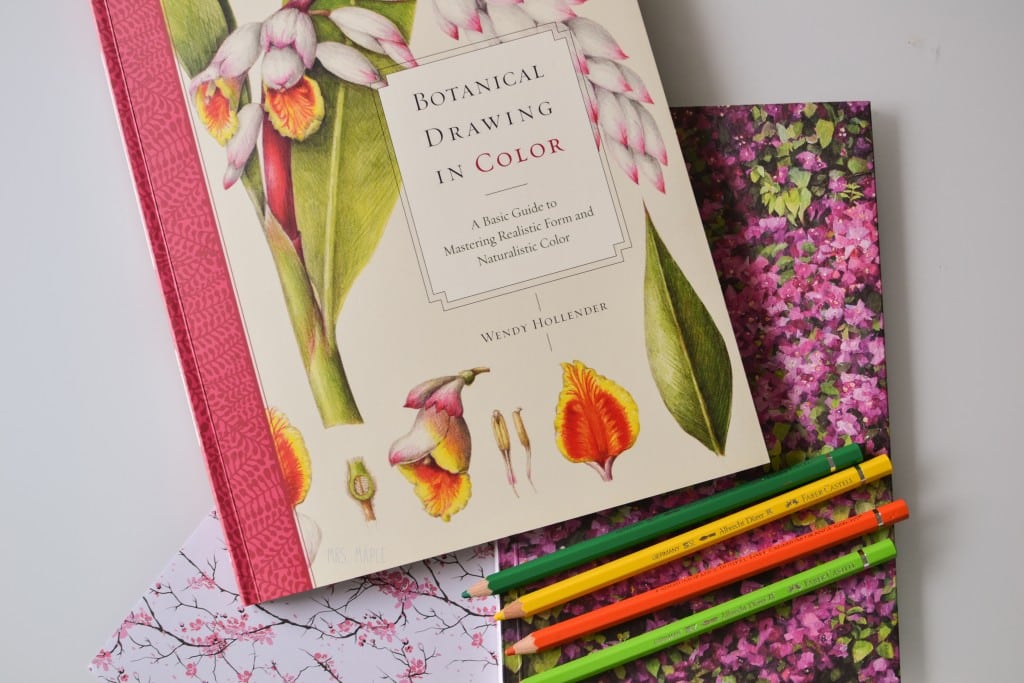 cuaderno-botanica