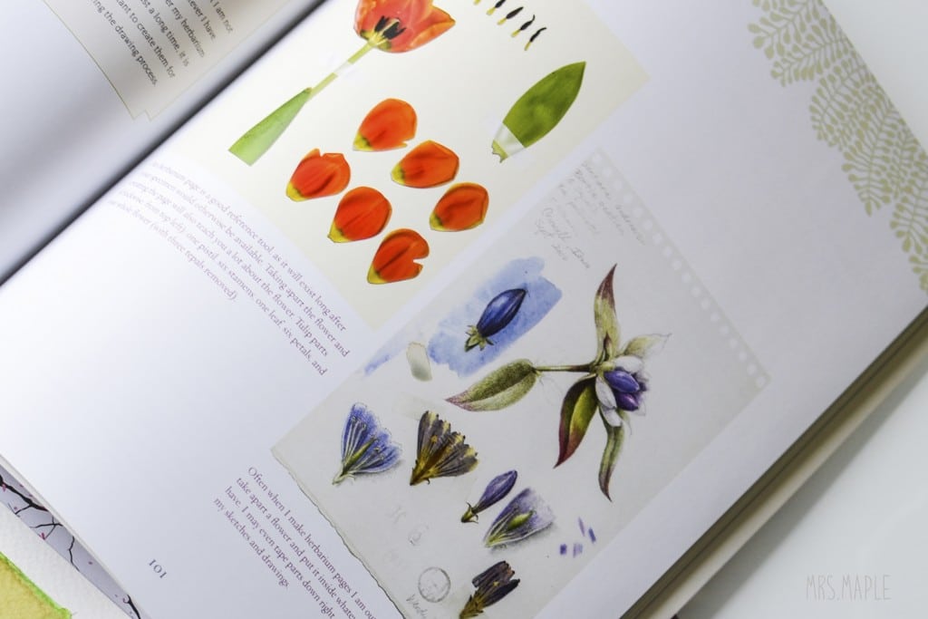 cuaderno-flores