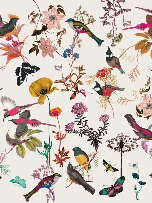ilustracion-pajaros