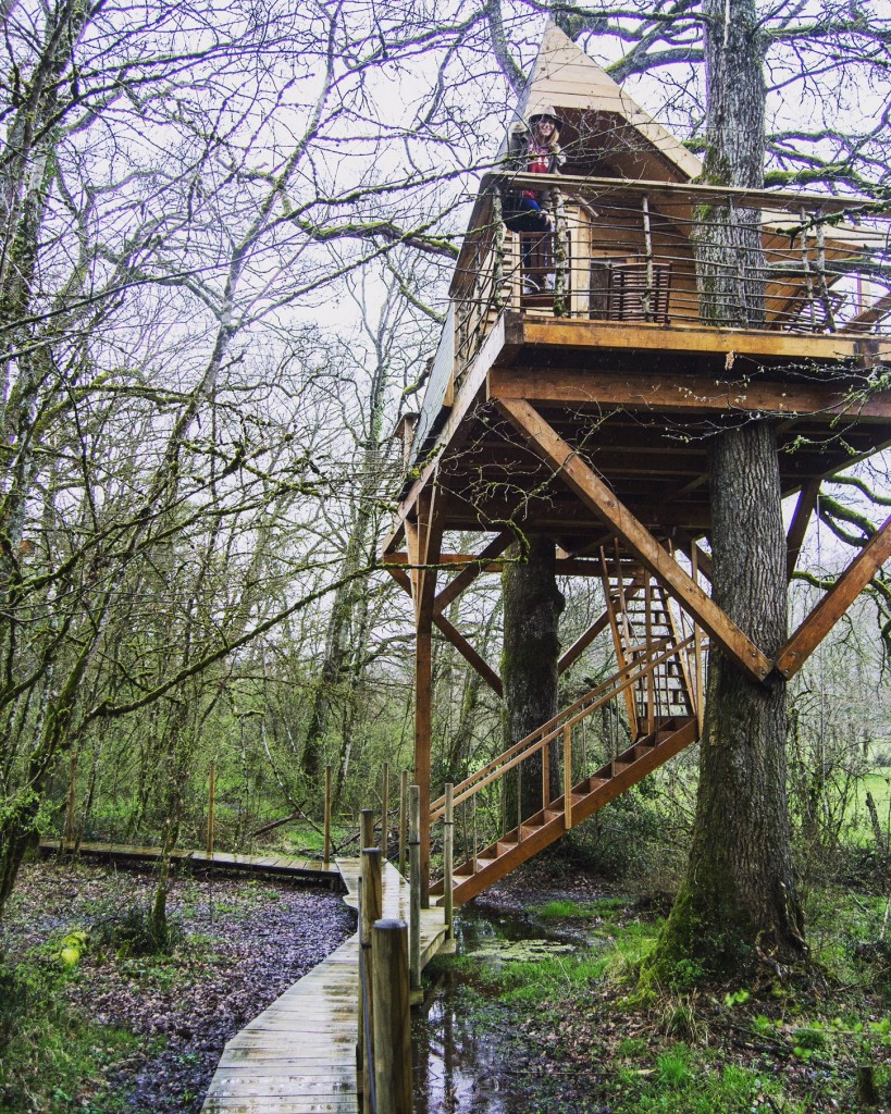 tree-house