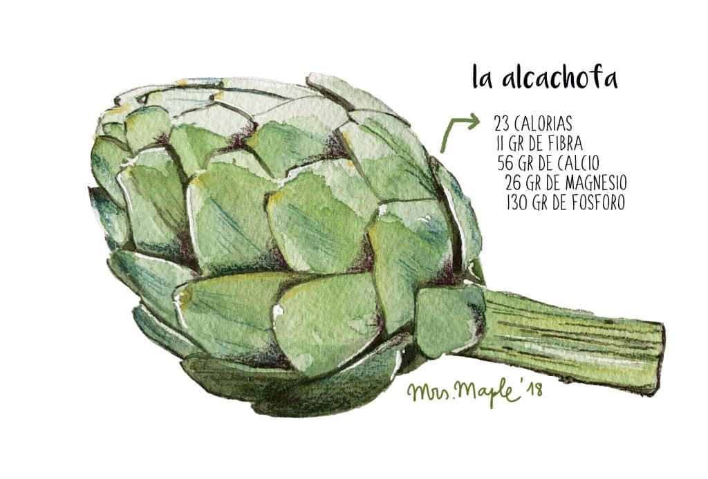 ilustracion-alcachofa